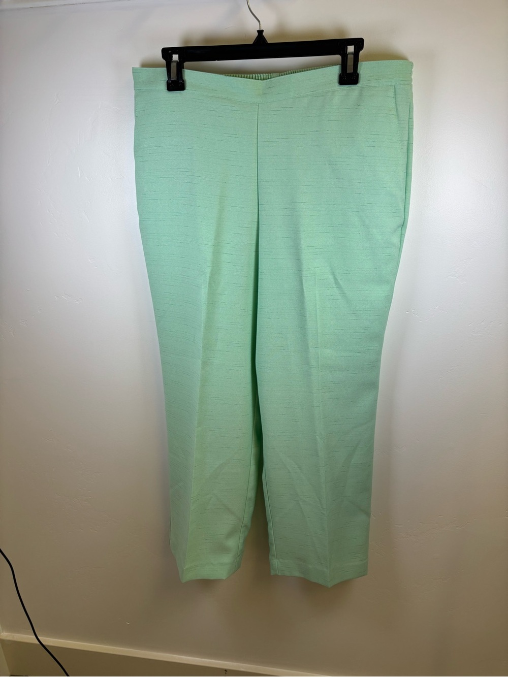 ALFRED DUNNER ELASTIC WAIST PANTS PULL ON WOMEN 16  P  PASTEL MINT GREEN